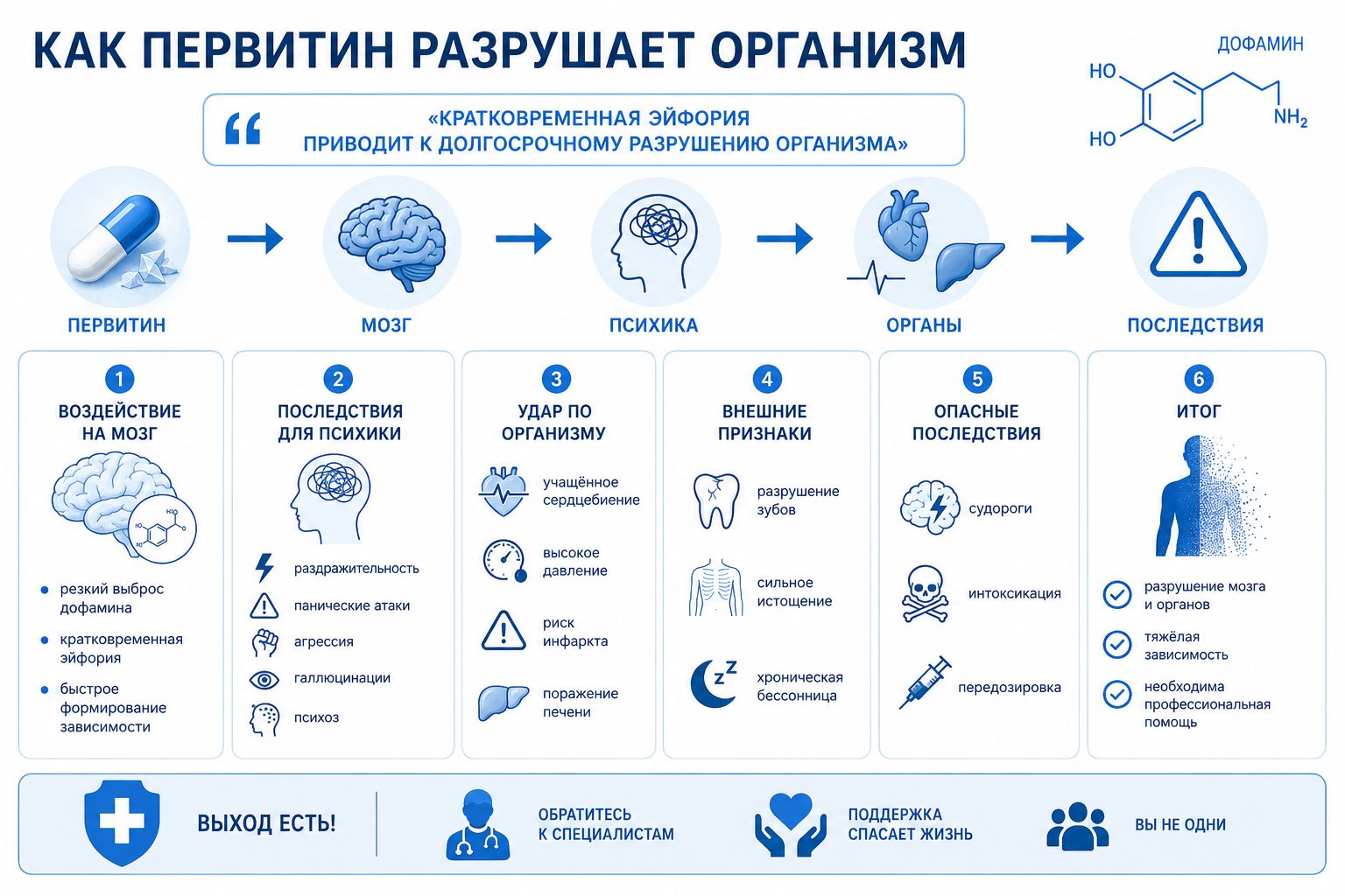 Медицинская инфографика: Как первитин разрушает организм